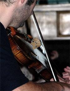 A fiddler (photo by Paul Dengate)